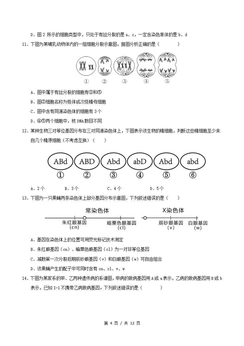 高中生物-高一下学期期中考试卷人教版答案解析插图同步试卷专项2