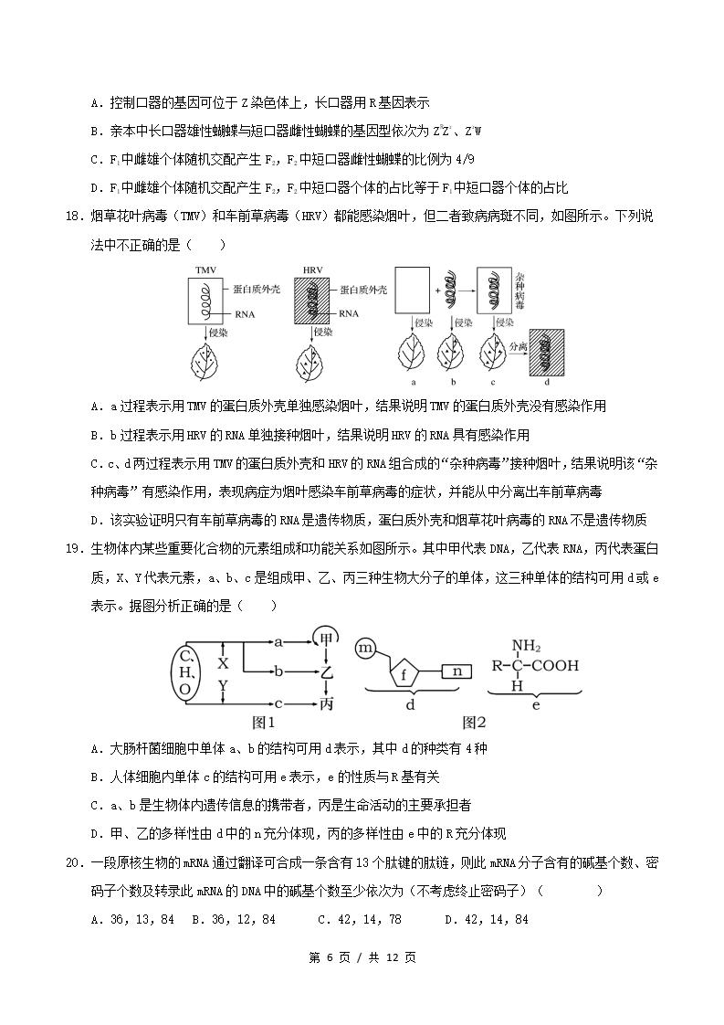 高中生物-高一下学期期中考试卷人教版答案解析插图同步试卷专项3