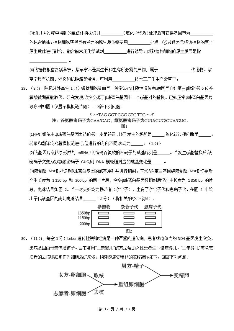 高中生物-高二下学期期中考试卷人教版答案解析插图同步试卷专项5