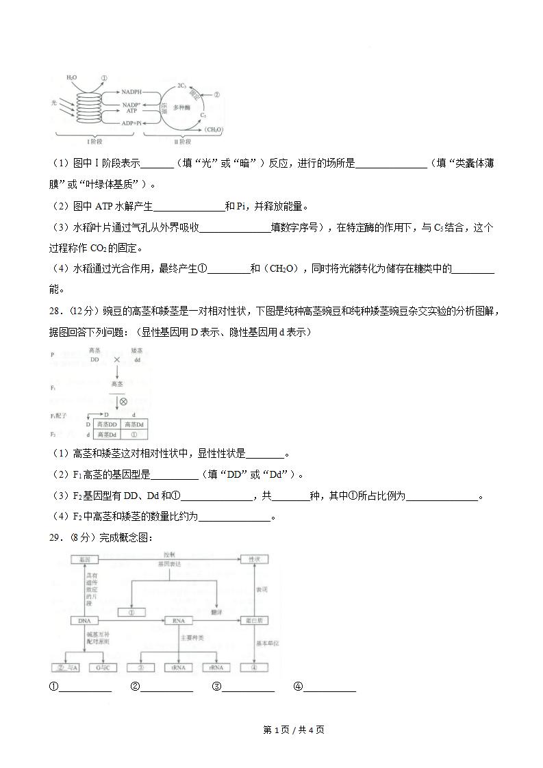 吉林省2025年高中学业水平合格性考试生物无答案解析插图历年学考真题3 吉林省2025年高中学业水平合格性考试生物无答案解析插图历年学考真题3