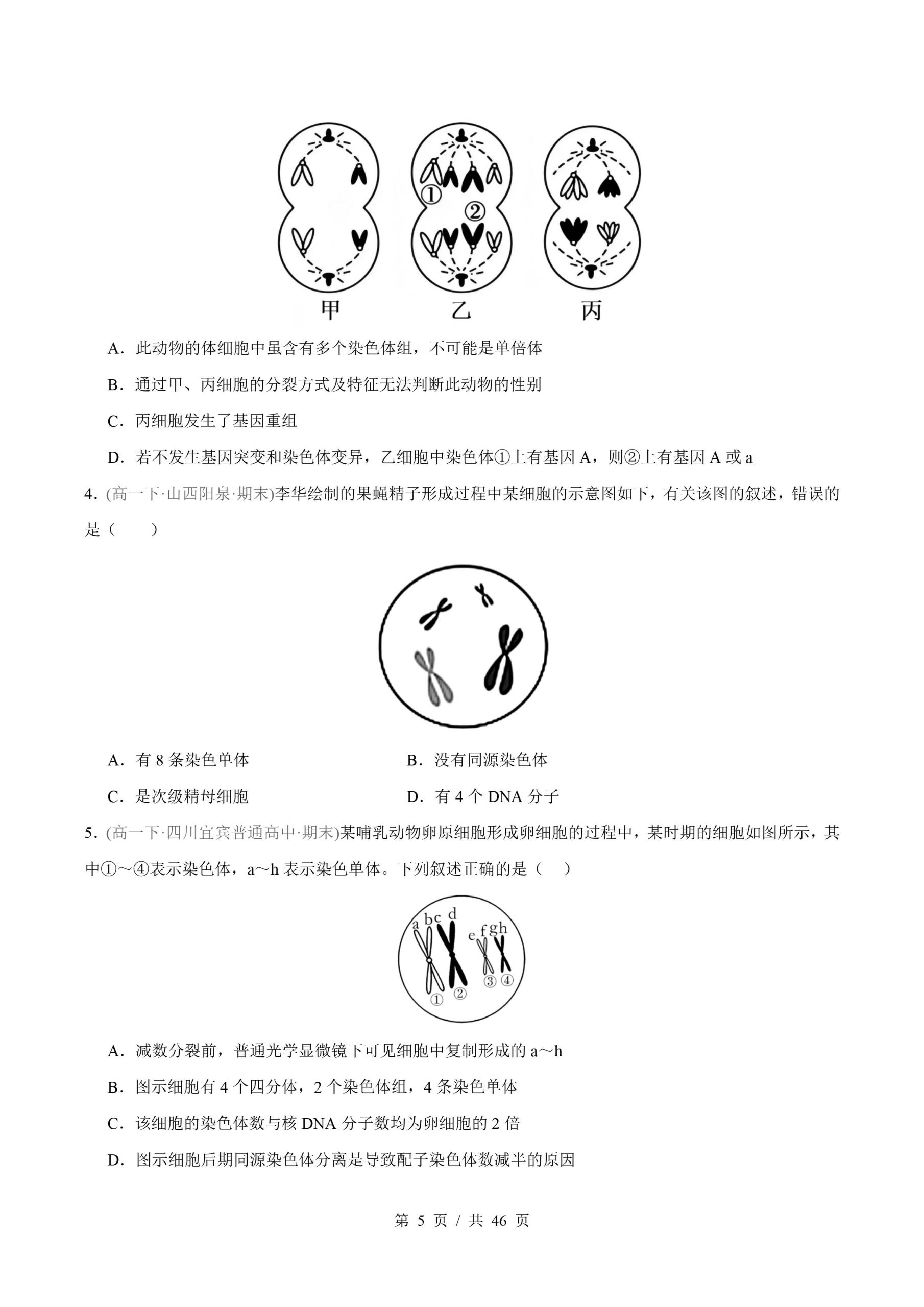 生物-高1下学期末真题汇编 专题02 基因和染色体的关系原卷试卷答案解析题型考点考试复习插图真题汇编专项4