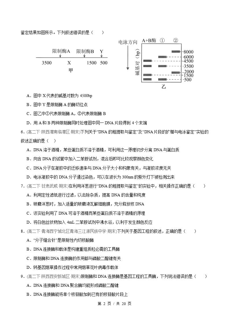 生物-高2下学期末真题汇编 专题03 基因工程原卷试卷答案解析题型考点考试复习插图真题汇编专项1