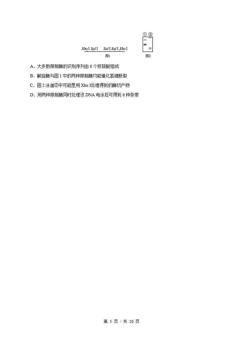 生物-高2下学期末真题汇编 专题03 基因工程原卷试卷答案解析题型考点考试复习插图真题汇编专项4