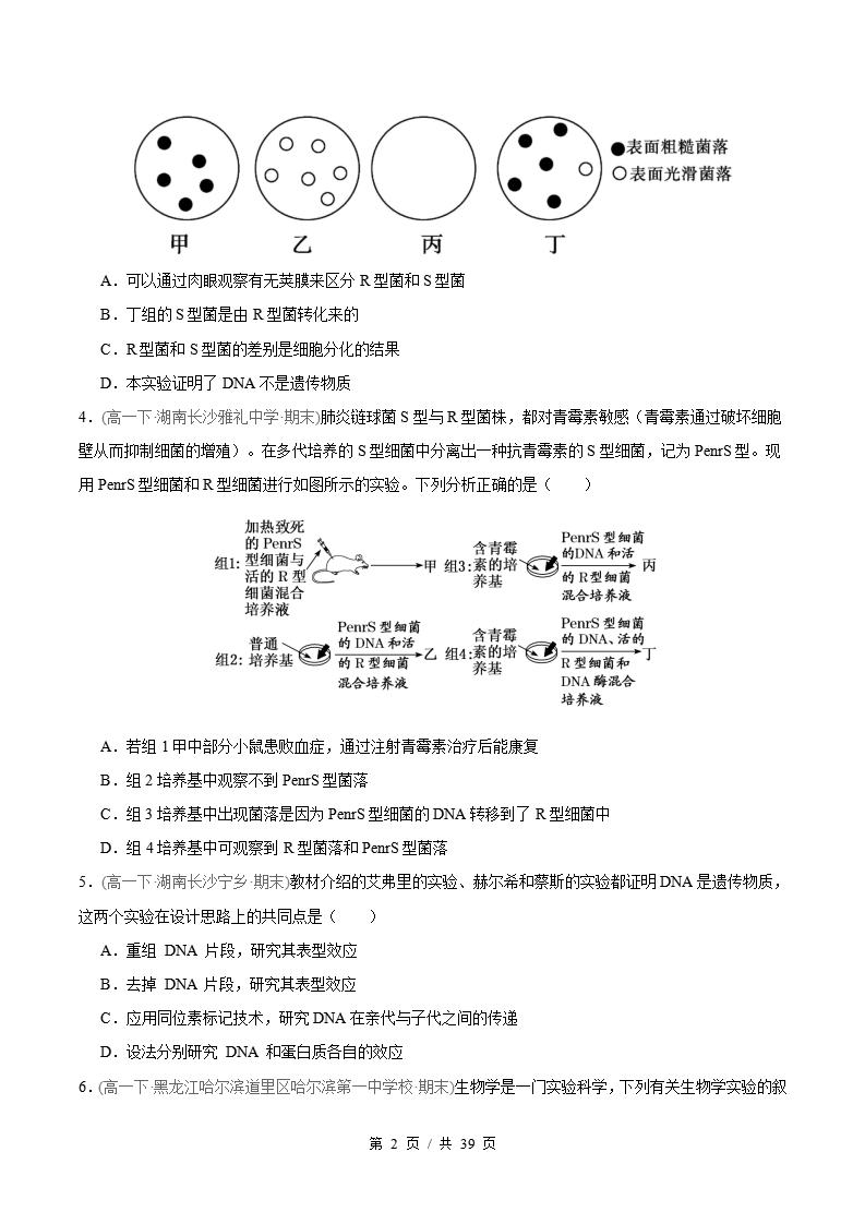 生物-高1下学期末真题汇编 专题03 基因的本质原卷试卷答案解析题型考点考试复习插图真题汇编专项1