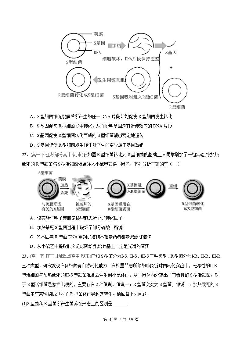生物-高1下学期末真题汇编 专题03 基因的本质原卷试卷答案解析题型考点考试复习插图真题汇编专项3