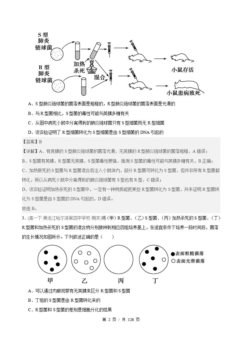 生物-高1下学期末真题汇编 专题03 基因的本质原卷试卷答案解析题型考点考试复习插图真题汇编专项5