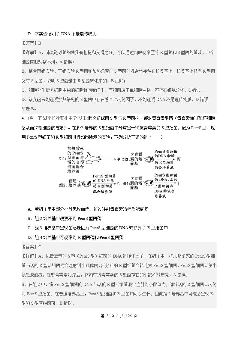 生物-高1下学期末真题汇编 专题03 基因的本质原卷试卷答案解析题型考点考试复习插图真题汇编专项6