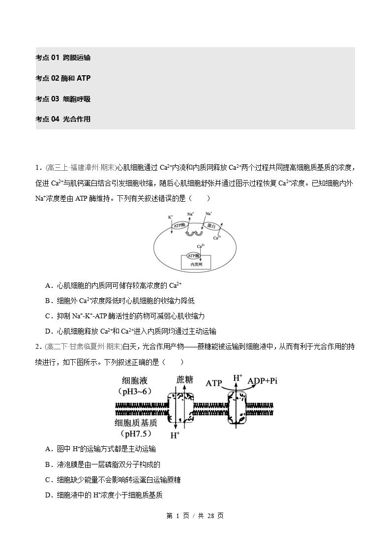 生物-高2下学期末真题汇编 专题06 细胞代谢原卷试卷答案解析题型考点考试复习-言心吖资料库