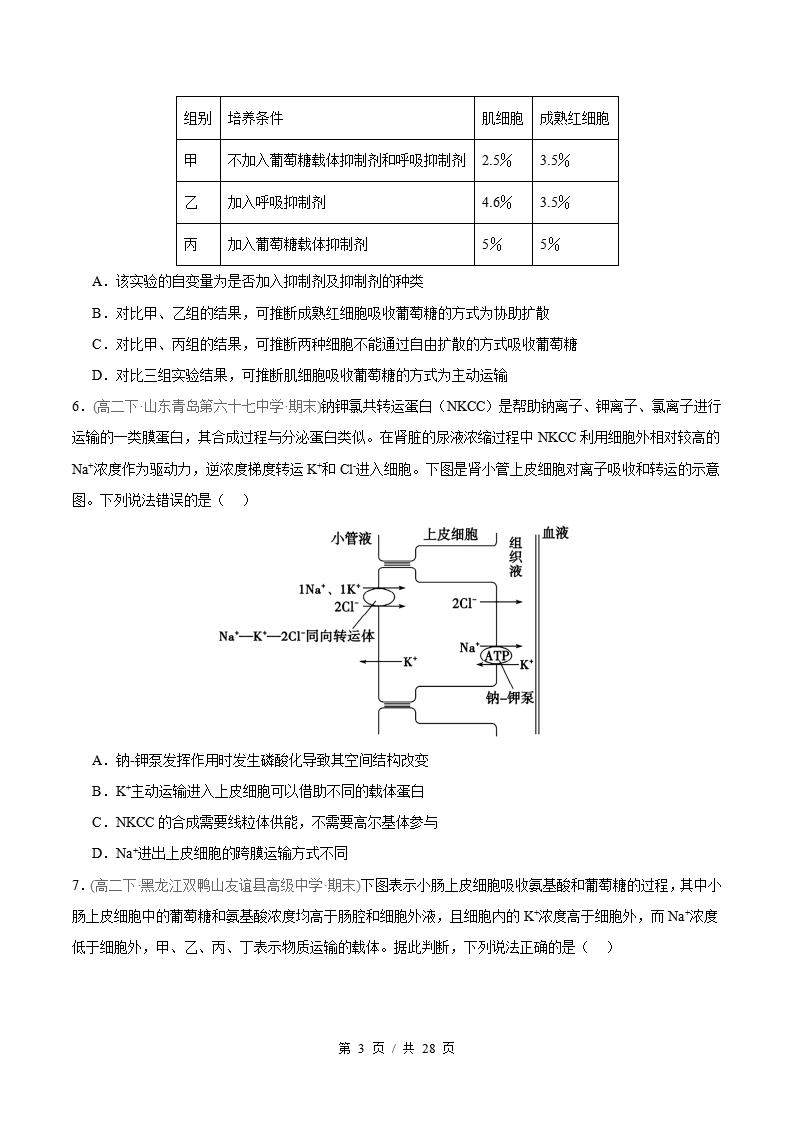 生物-高2下学期末真题汇编 专题06 细胞代谢原卷试卷答案解析题型考点考试复习插图真题汇编专项2
