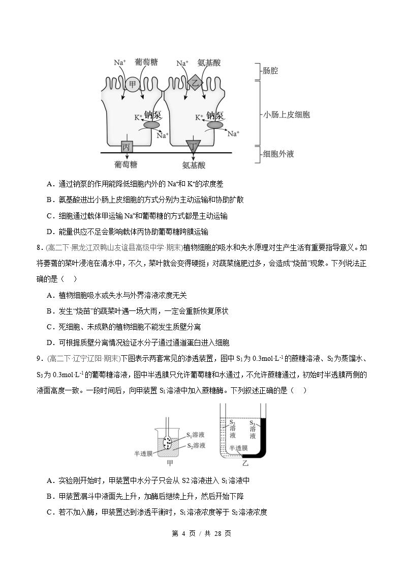生物-高2下学期末真题汇编 专题06 细胞代谢原卷试卷答案解析题型考点考试复习插图真题汇编专项3