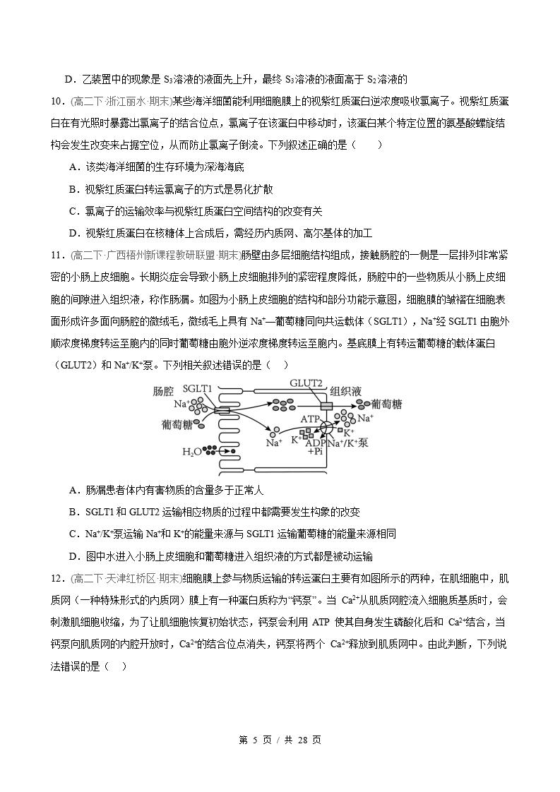 生物-高2下学期末真题汇编 专题06 细胞代谢原卷试卷答案解析题型考点考试复习插图真题汇编专项4