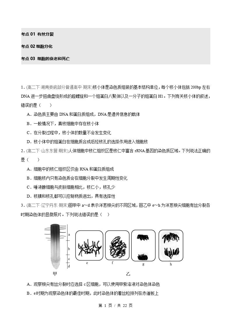 生物-高2下学期末真题汇编 专题07 细胞的生命历程原卷试卷答案解析题型考点考试复习-言心吖资料库