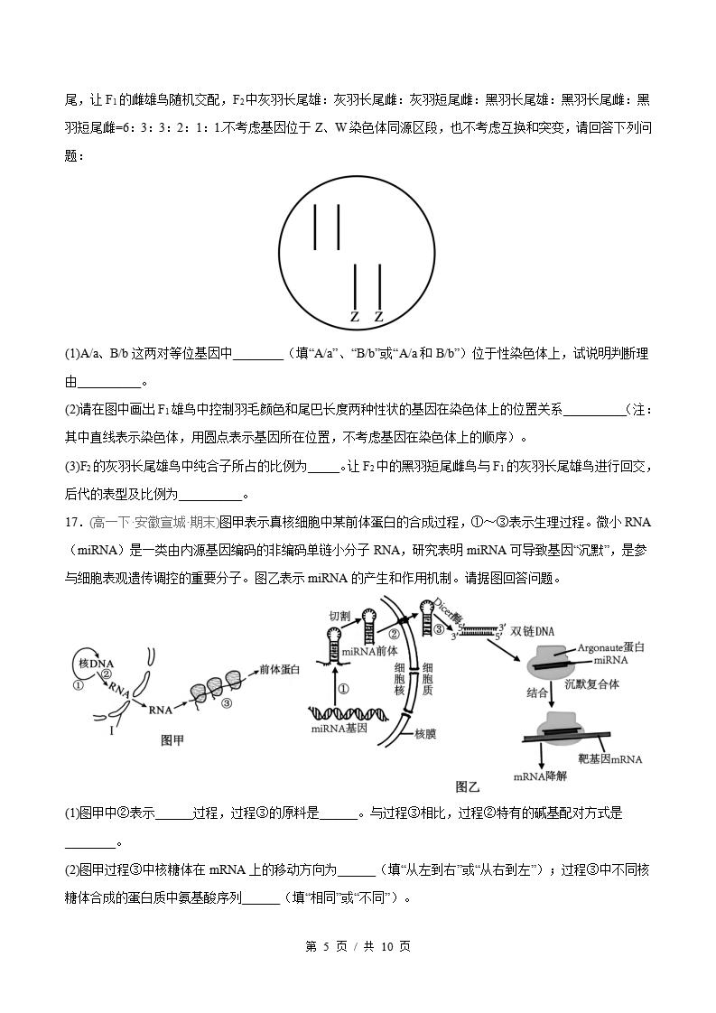 生物-高1下学期末真题汇编 非选择题规范练原卷试卷答案解析题型考点考试复习插图真题汇编专项4