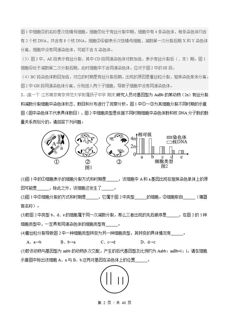 生物-高1下学期末真题汇编 非选择题规范练原卷试卷答案解析题型考点考试复习插图真题汇编专项5