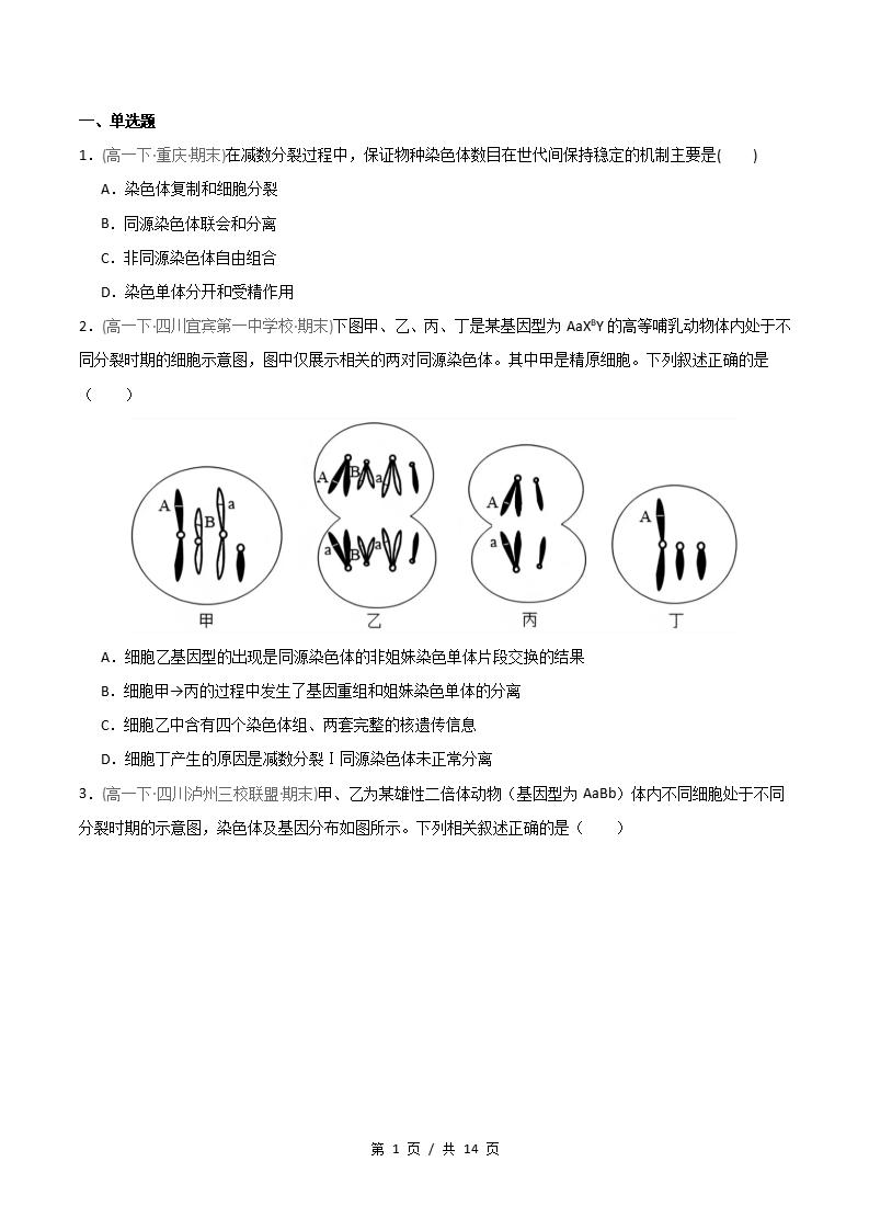 生物-高1下学期末真题汇编 重难点01 减数分裂染色体的相关变化原卷试卷答案解析题型考点考试复习-言心吖资料库