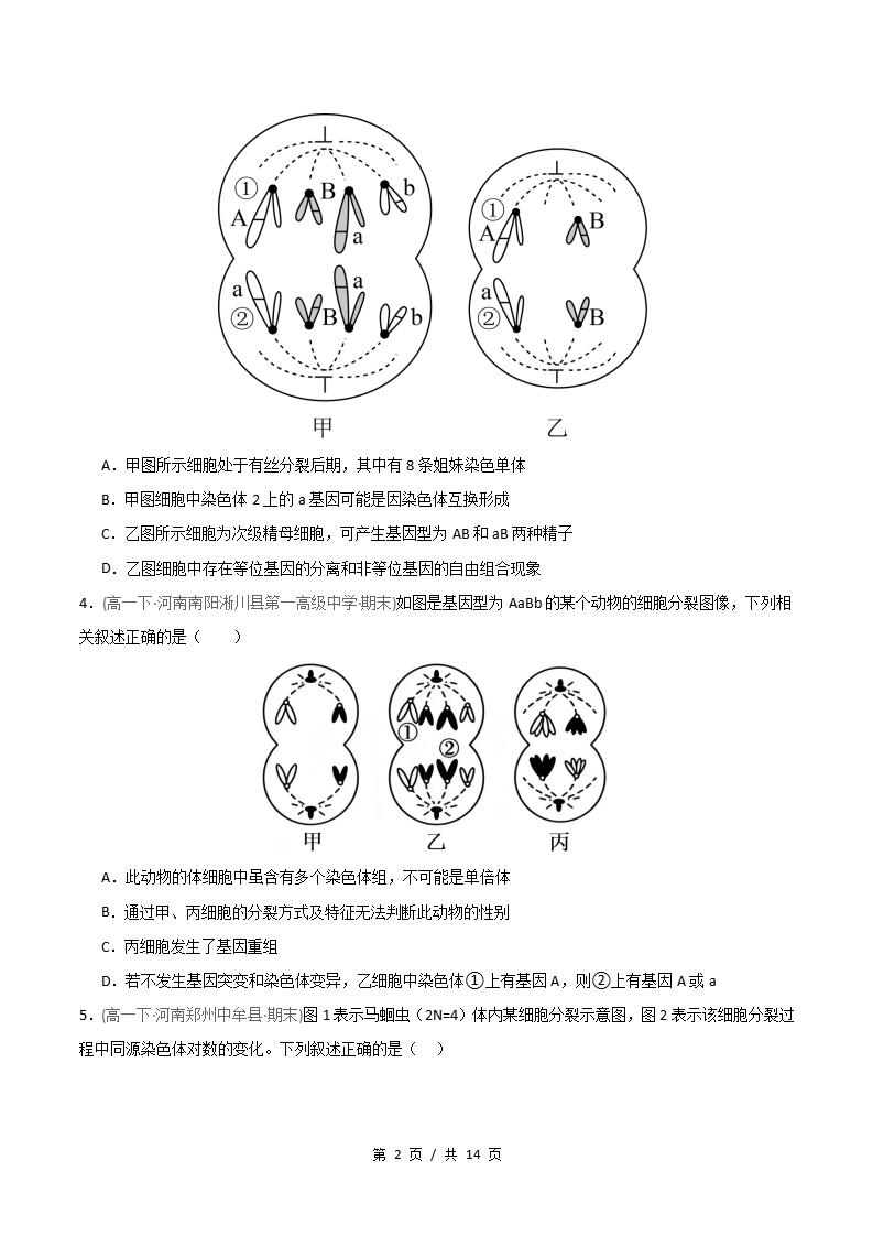 生物-高1下学期末真题汇编 重难点01 减数分裂染色体的相关变化原卷试卷答案解析题型考点考试复习插图真题汇编专项1
