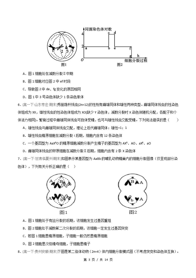 生物-高1下学期末真题汇编 重难点01 减数分裂染色体的相关变化原卷试卷答案解析题型考点考试复习插图真题汇编专项2