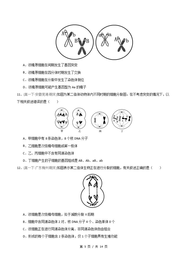 生物-高1下学期末真题汇编 重难点01 减数分裂染色体的相关变化原卷试卷答案解析题型考点考试复习插图真题汇编专项4