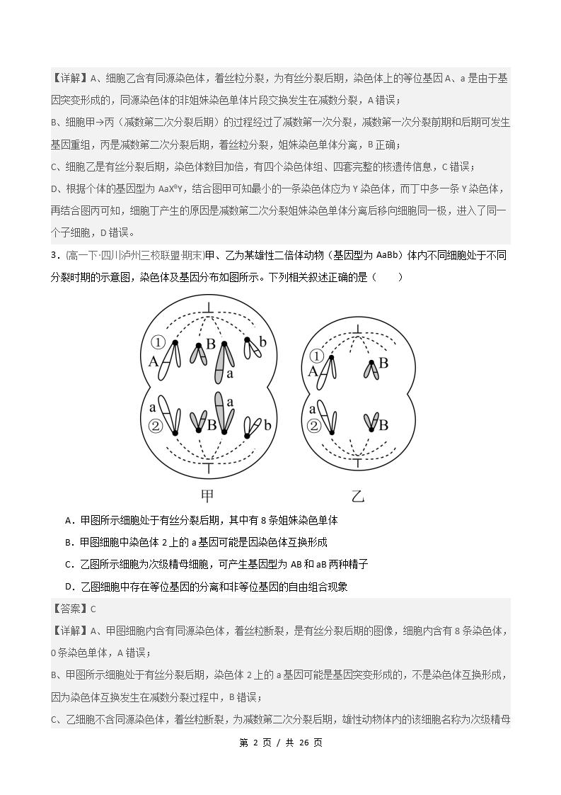 生物-高1下学期末真题汇编 重难点01 减数分裂染色体的相关变化原卷试卷答案解析题型考点考试复习插图真题汇编专项5