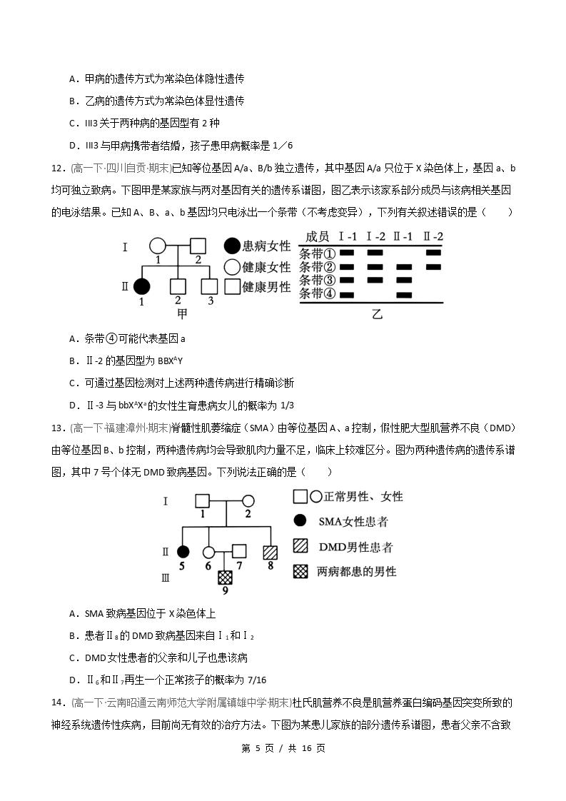 生物-高1下学期末真题汇编 重难点03 遗传系谱图遗传方式与概率计算原卷试卷答案解析题型考点考试复习插图真题汇编专项4