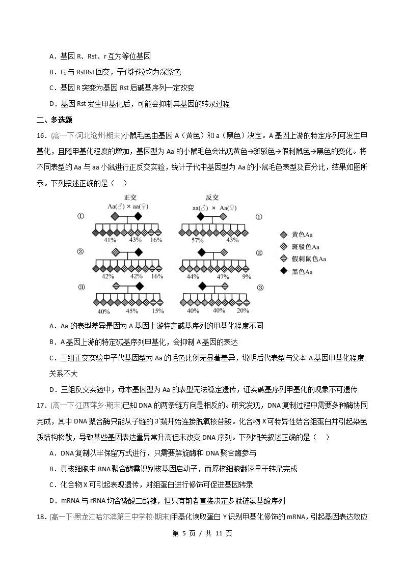 生物-高1下学期末真题汇编 重难点04 表观遗传的特点与遗传效应原卷试卷答案解析题型考点考试复习插图真题汇编专项4
