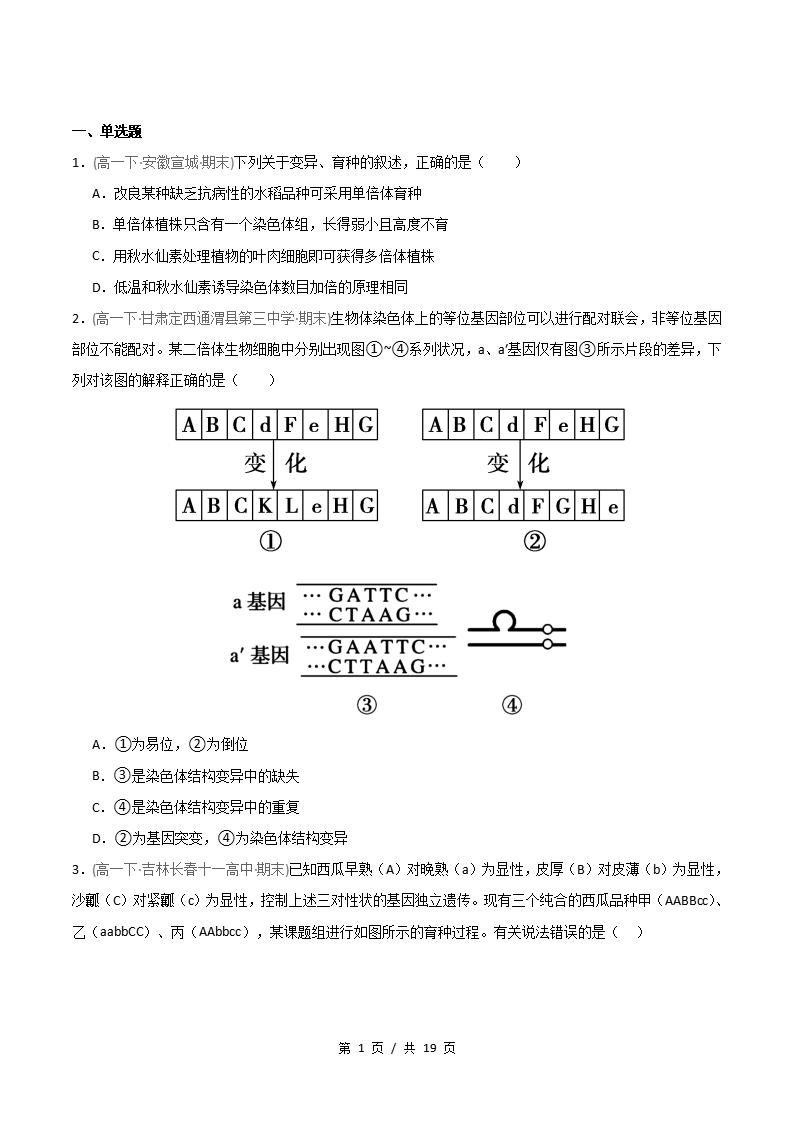 生物-高1下学期末真题汇编 重难点05 染色体结构与数目变异原卷试卷答案解析题型考点考试复习-言心吖资料库