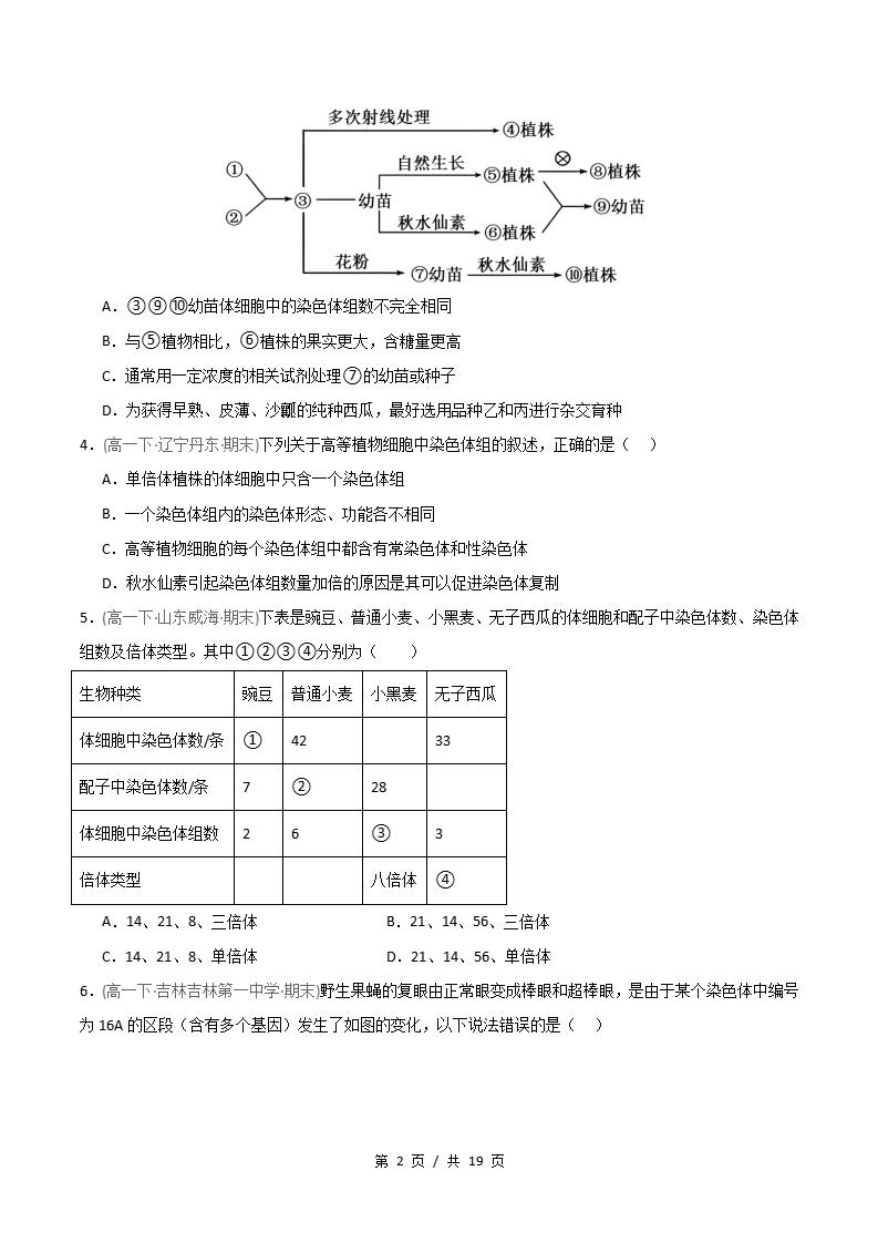 生物-高1下学期末真题汇编 重难点05 染色体结构与数目变异原卷试卷答案解析题型考点考试复习插图真题汇编专项1