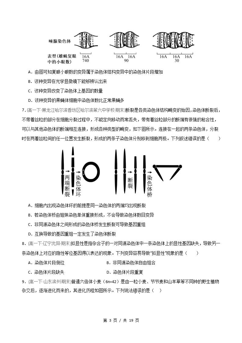 生物-高1下学期末真题汇编 重难点05 染色体结构与数目变异原卷试卷答案解析题型考点考试复习插图真题汇编专项2