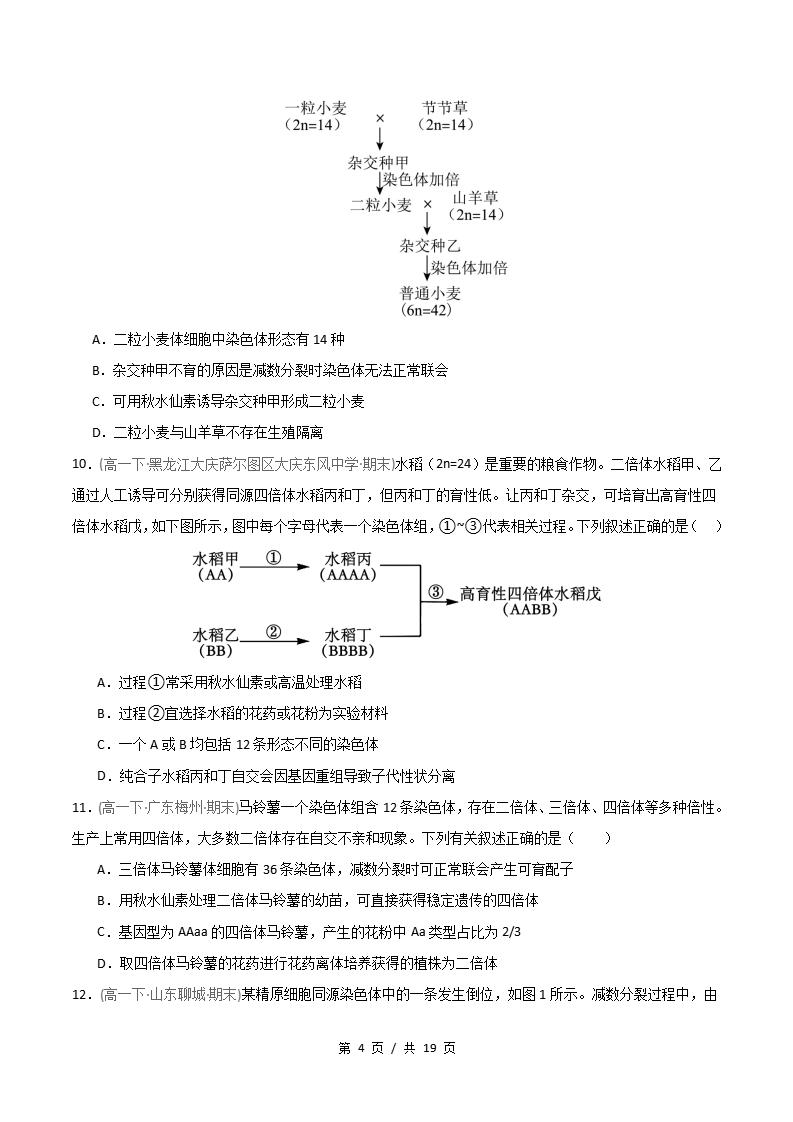 生物-高1下学期末真题汇编 重难点05 染色体结构与数目变异原卷试卷答案解析题型考点考试复习插图真题汇编专项3