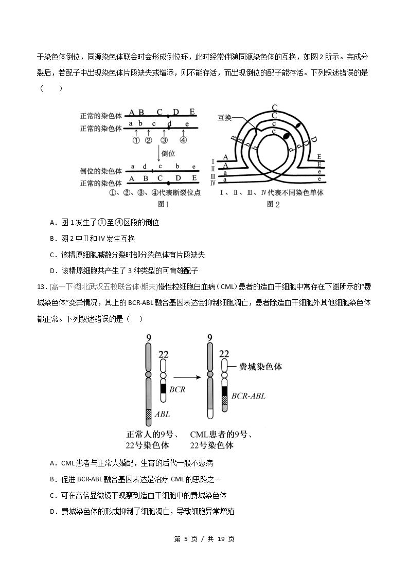 生物-高1下学期末真题汇编 重难点05 染色体结构与数目变异原卷试卷答案解析题型考点考试复习插图真题汇编专项4