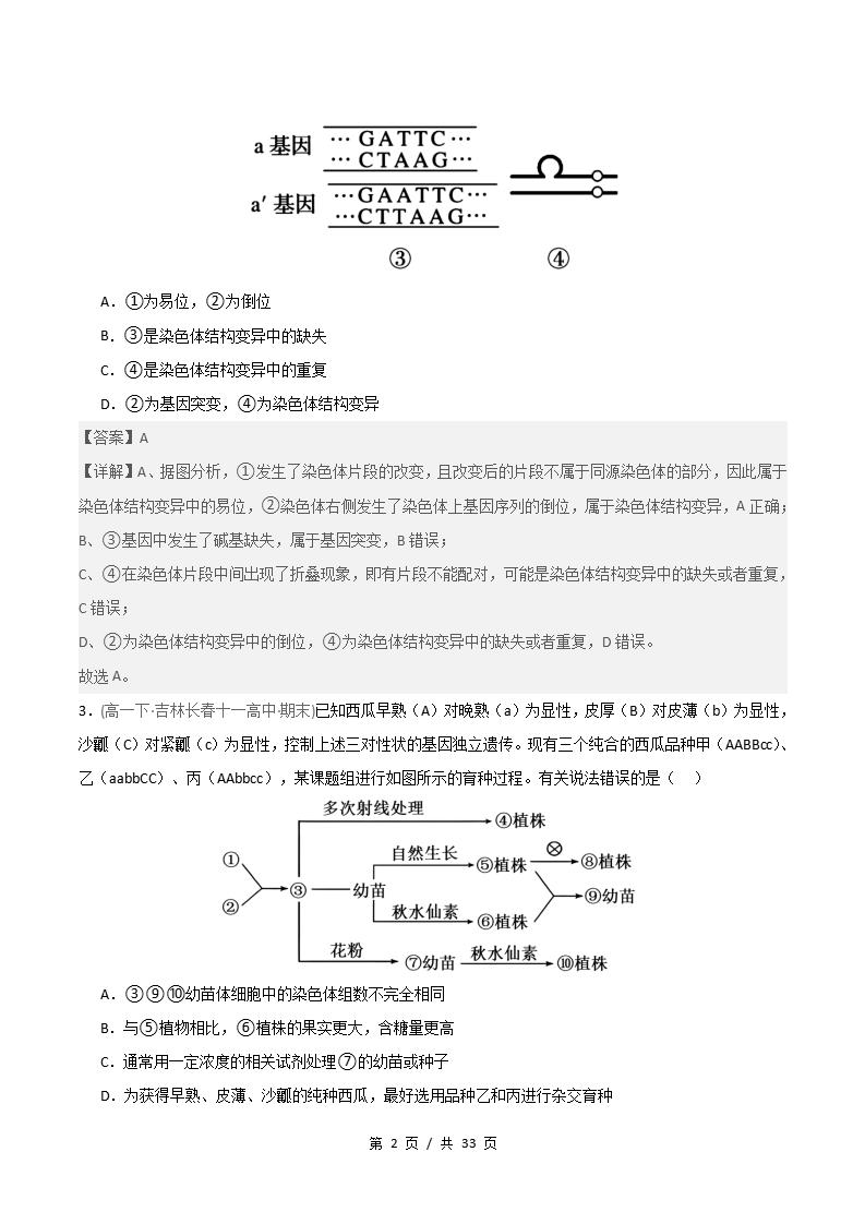 生物-高1下学期末真题汇编 重难点05 染色体结构与数目变异原卷试卷答案解析题型考点考试复习插图真题汇编专项5