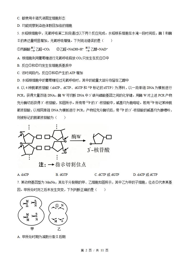 2026年高考生物山东卷真题试卷答案省科解析插图历年高考真题1