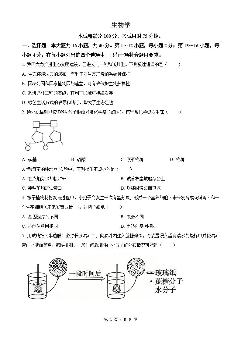 2026年高考生物广东卷真题试卷答案省科解析-言心吖资料库