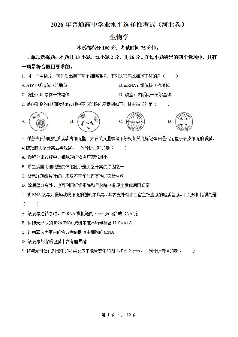 2026年高考生物河北卷真题试卷答案省科解析-言心吖资料库