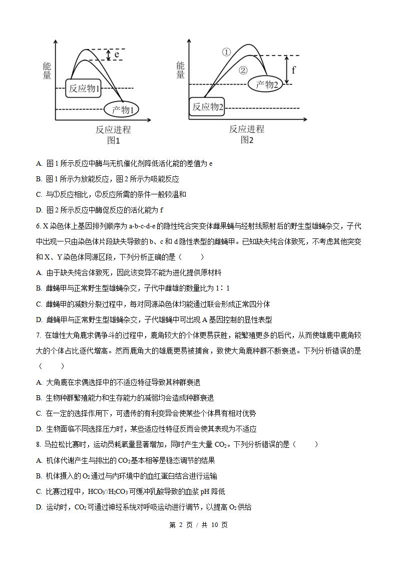 2026年高考生物河北卷真题试卷答案省科解析插图历年高考真题1
