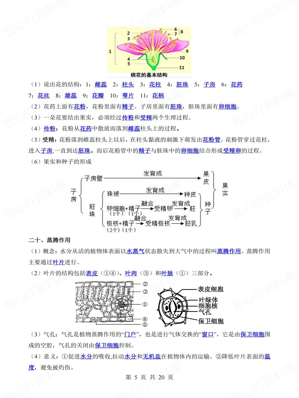 初中生物-中考复习61大类清单归纳考前专项梳理归纳插图初中生物4