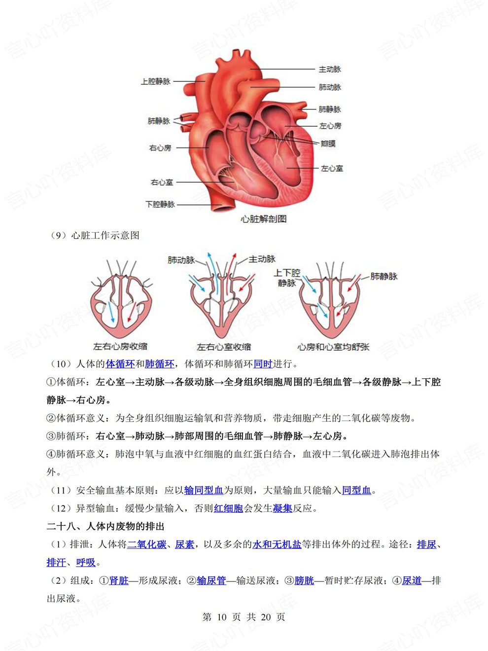初中生物-中考复习61大类清单归纳考前专项梳理归纳插图初中生物6