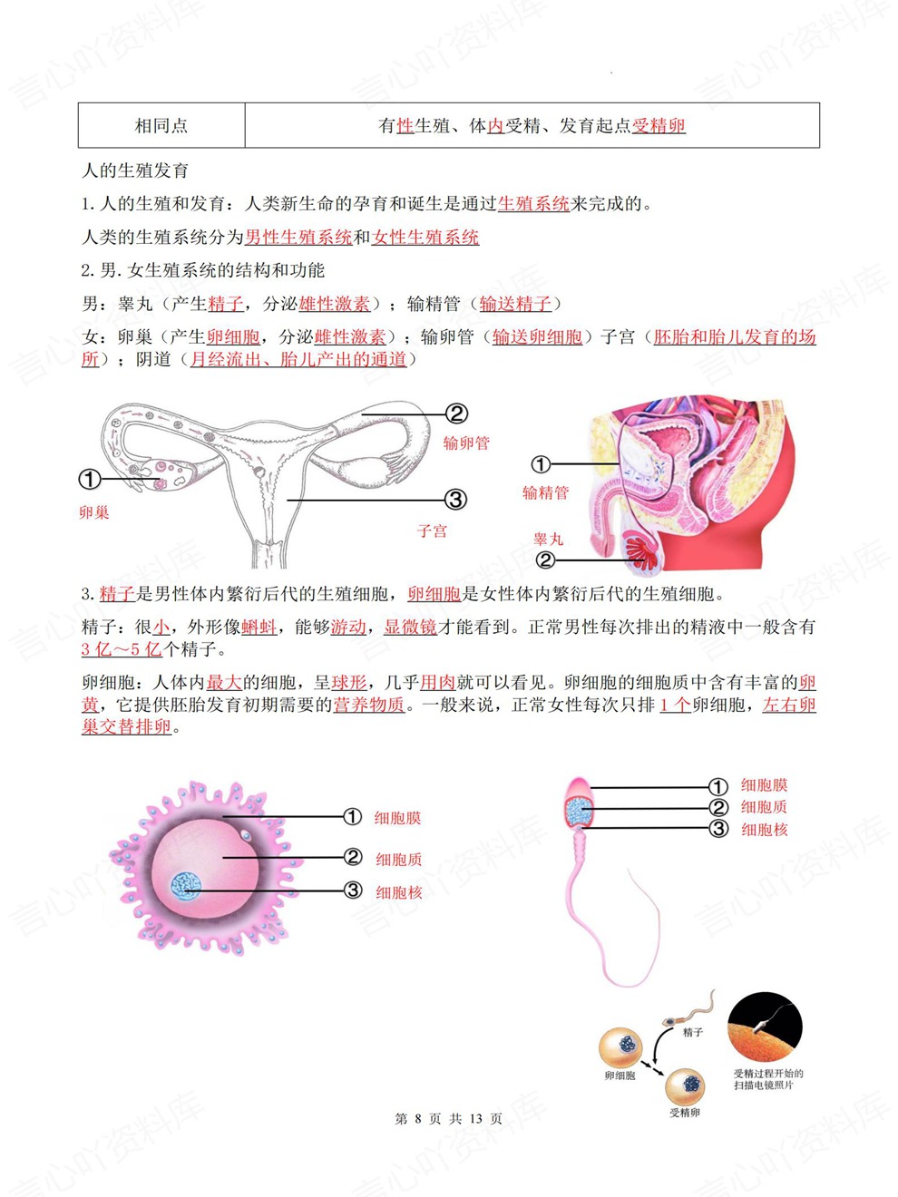 初中生物-八年级下单元章节重点必记新教材初二下册苏科版插图初中生物5