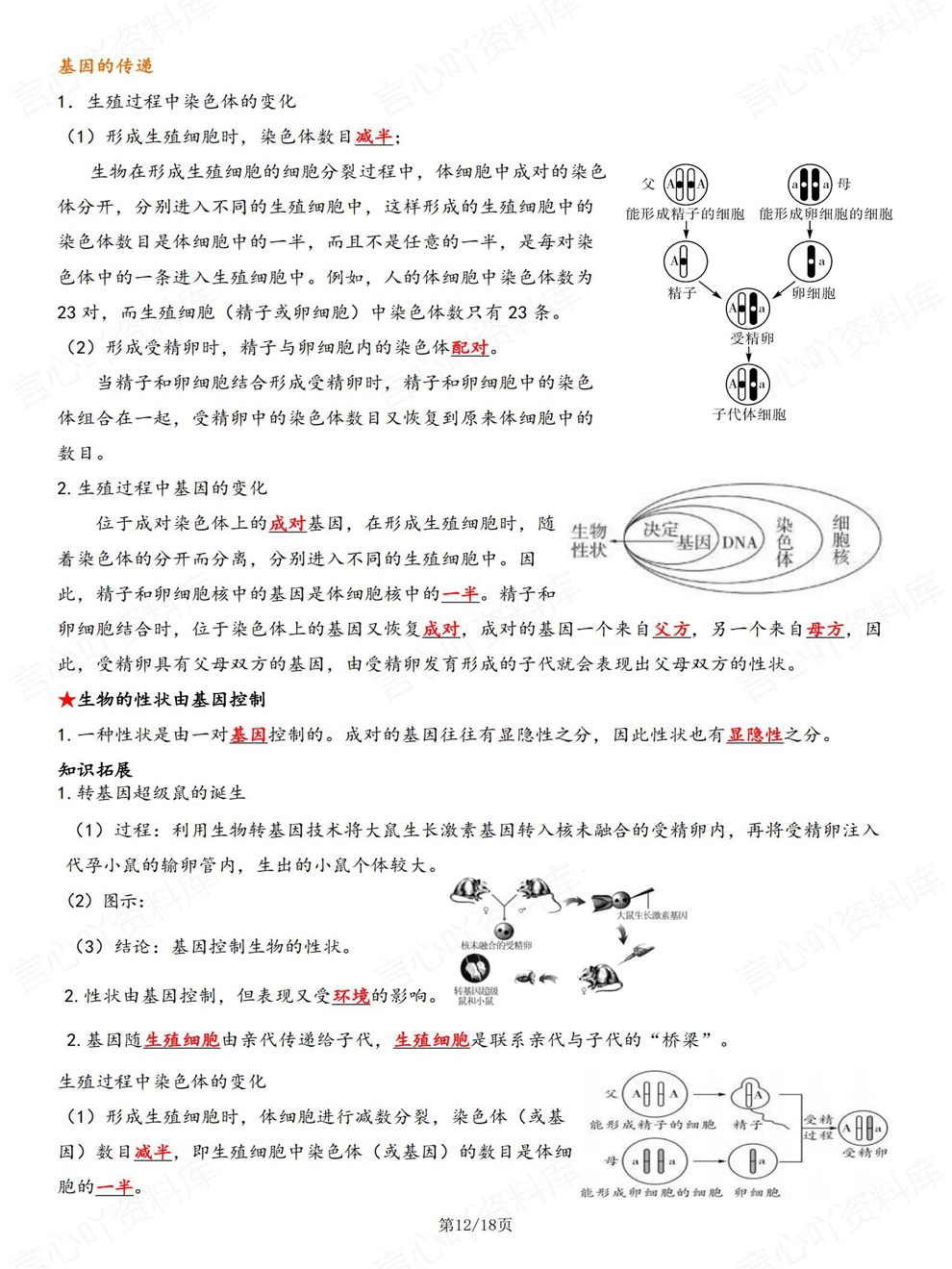 初中生物-八年级下单元章节重点必记新教材初二下册苏科版插图初中生物7