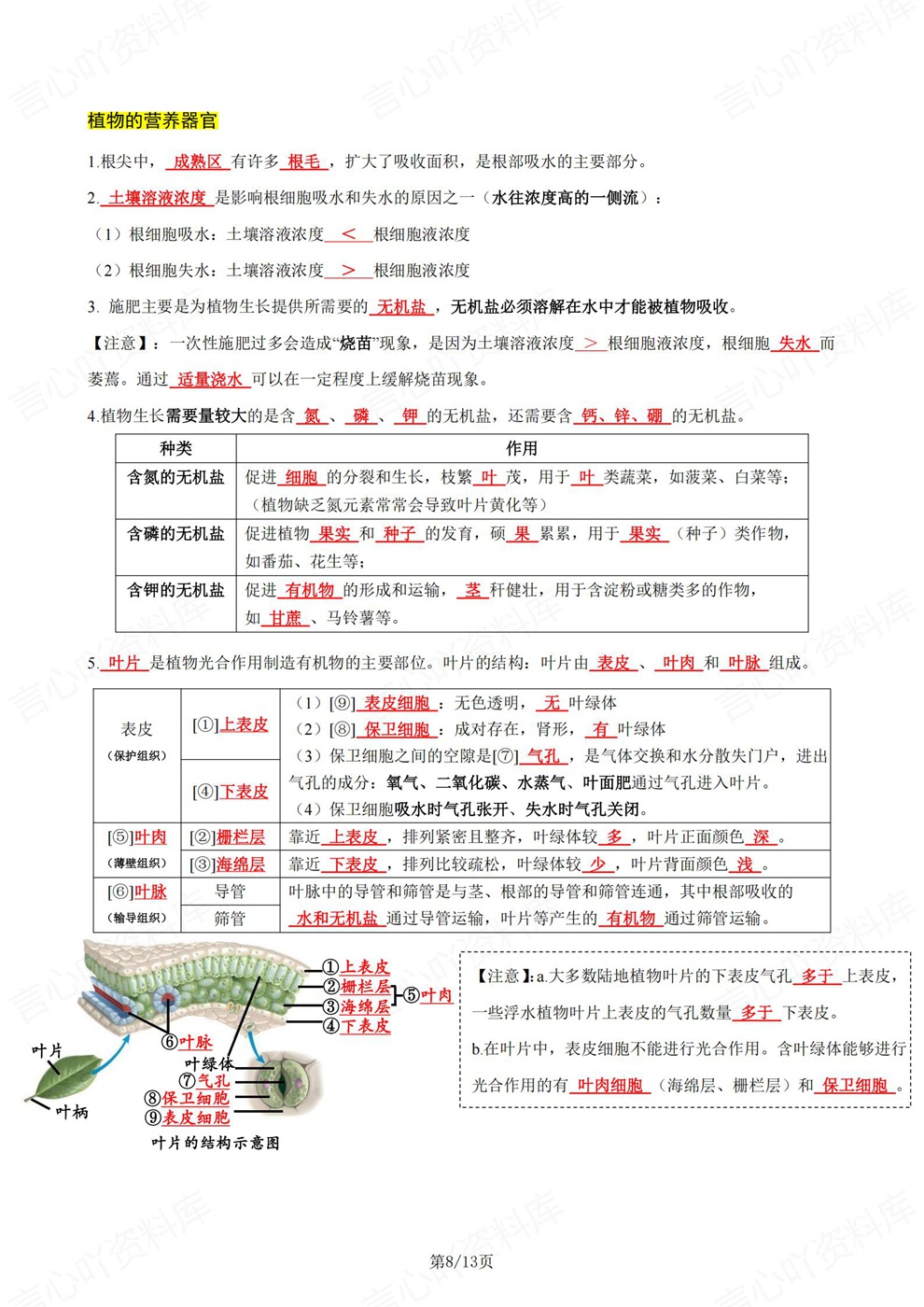 初中生物-七年级下重点考点归纳总结新教材初一下册苏教版插图初中生物5