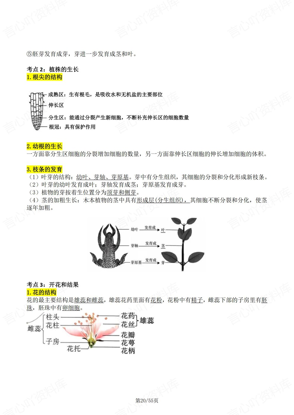 初中生物-会考复习四册必背内容汇总考前重点梳理人教版插图初中生物5