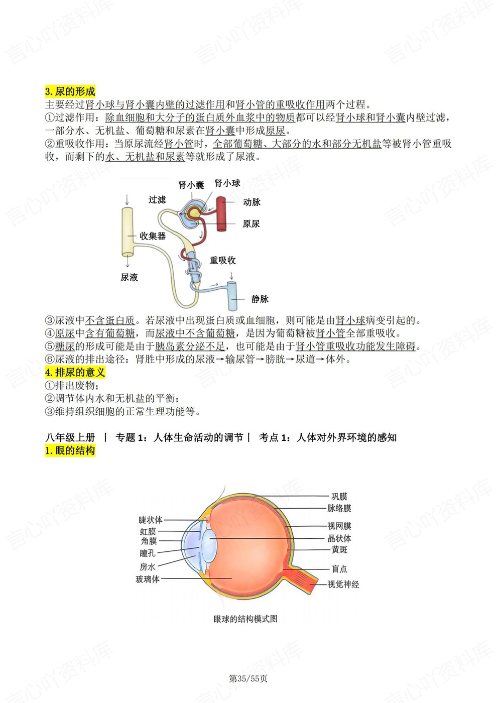 初中生物-会考复习四册必背内容汇总考前重点梳理人教版插图初中生物6