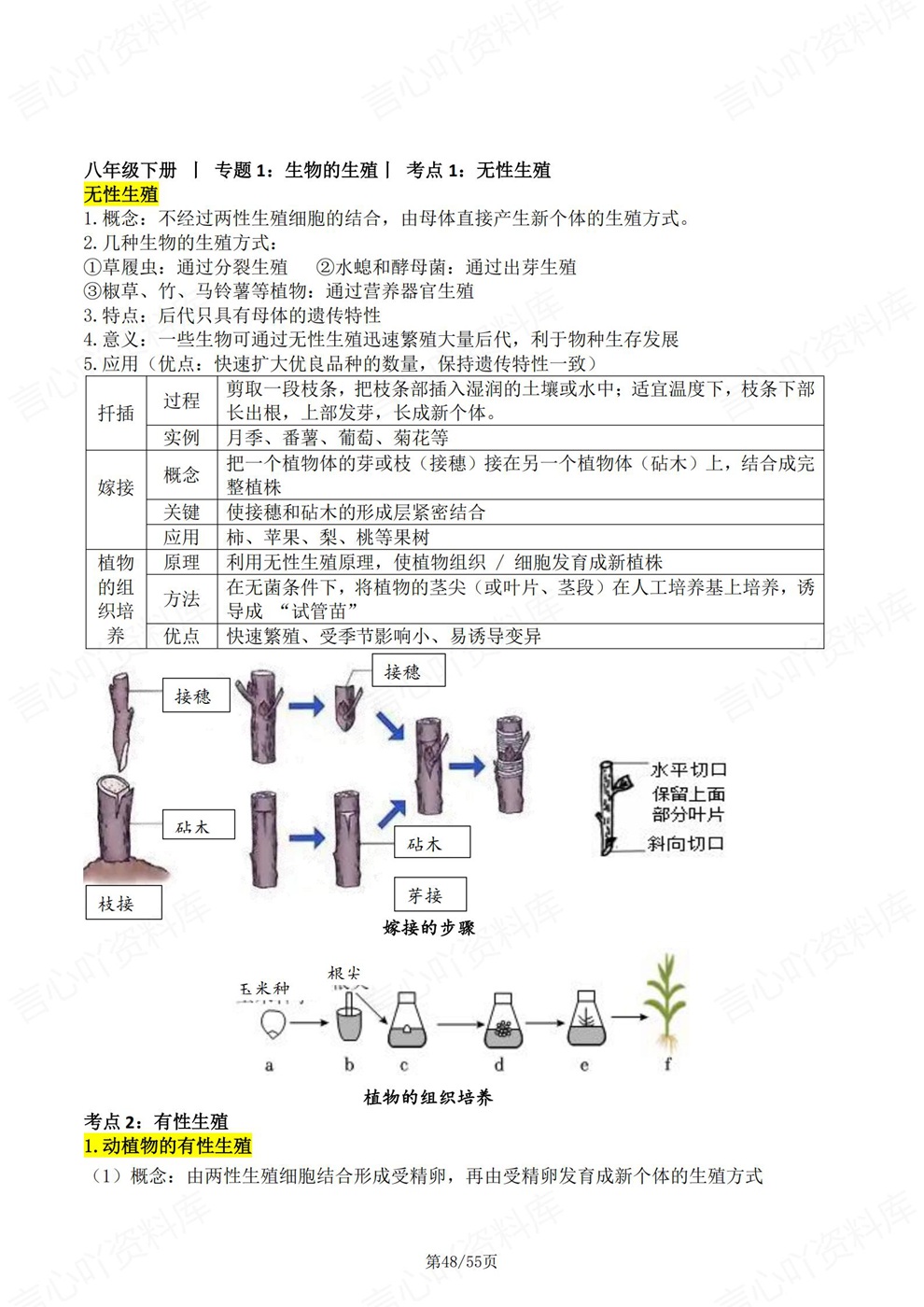 初中生物-会考复习四册必背内容汇总考前重点梳理人教版插图初中生物7