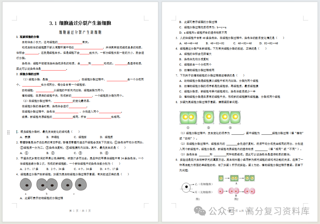初中生物-新初一暑假衔接讲义人教版复习预习归纳讲练插图同步讲义专项1 初中生物-新初一暑假衔接讲义人教版复习预习归纳讲练插图同步讲义专项1