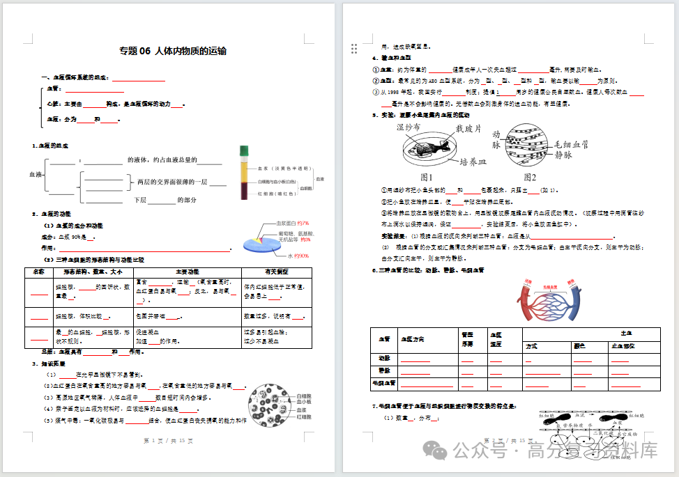 初中生物-新初二暑假衔接讲义人教版复习预习归纳讲练插图同步讲义专项 初中生物-新初二暑假衔接讲义人教版复习预习归纳讲练插图同步讲义专项