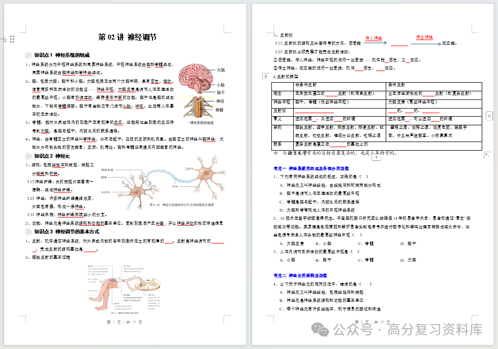初中生物-新初二暑假衔接讲义人教版复习预习归纳讲练插图同步讲义专项1 初中生物-新初二暑假衔接讲义人教版复习预习归纳讲练插图同步讲义专项1
