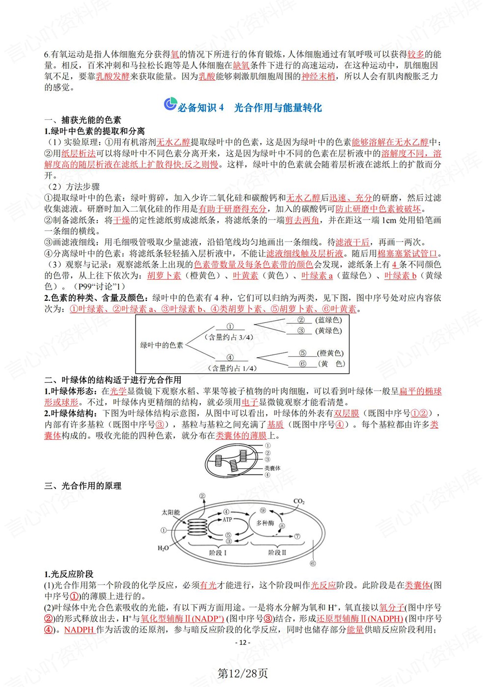 高中生物-会考梳理必修一二册归纳汇总知识清单插图高中生物7