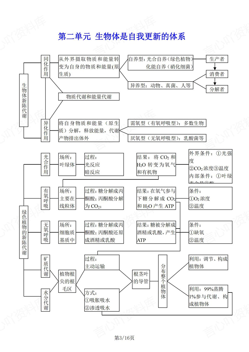 高中生物-必修选必单元梳理思维归纳知识导图插图高中生物3 高中生物-必修选必单元梳理思维归纳知识导图插图高中生物3