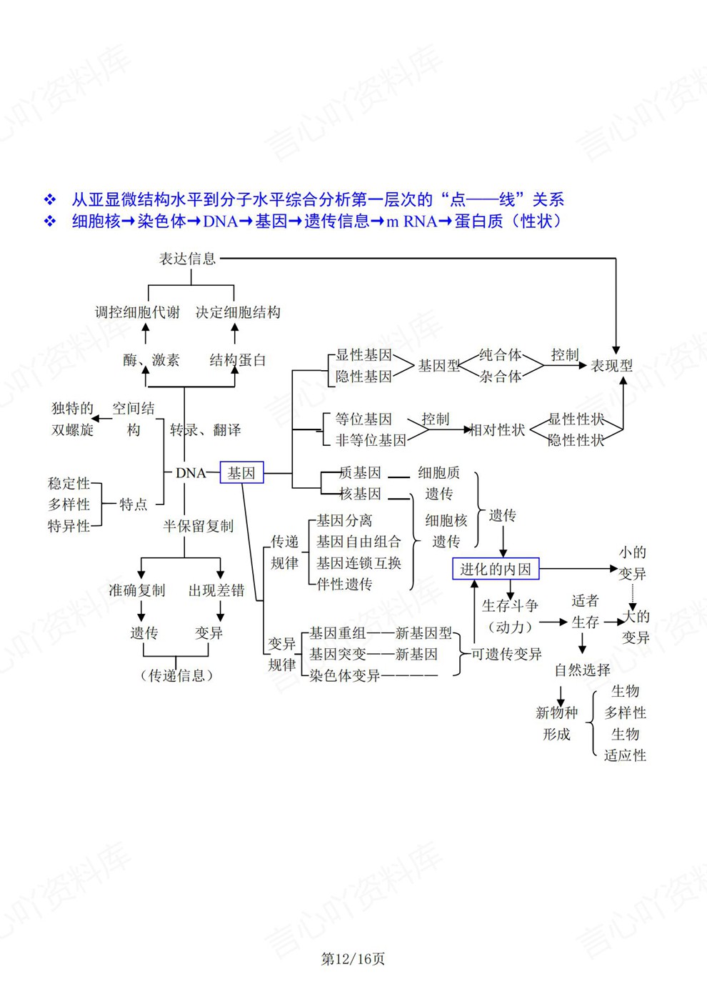 高中生物-必修选必单元梳理思维归纳知识导图插图高中生物7 高中生物-必修选必单元梳理思维归纳知识导图插图高中生物7