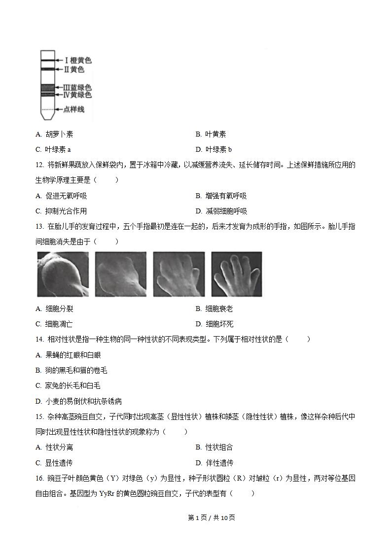 福建省2025年6月高中学业水平合格性考试生物真题试卷答案解析学考会考春考高考插图历年学考真题1